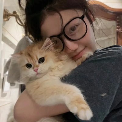 鸽之翼